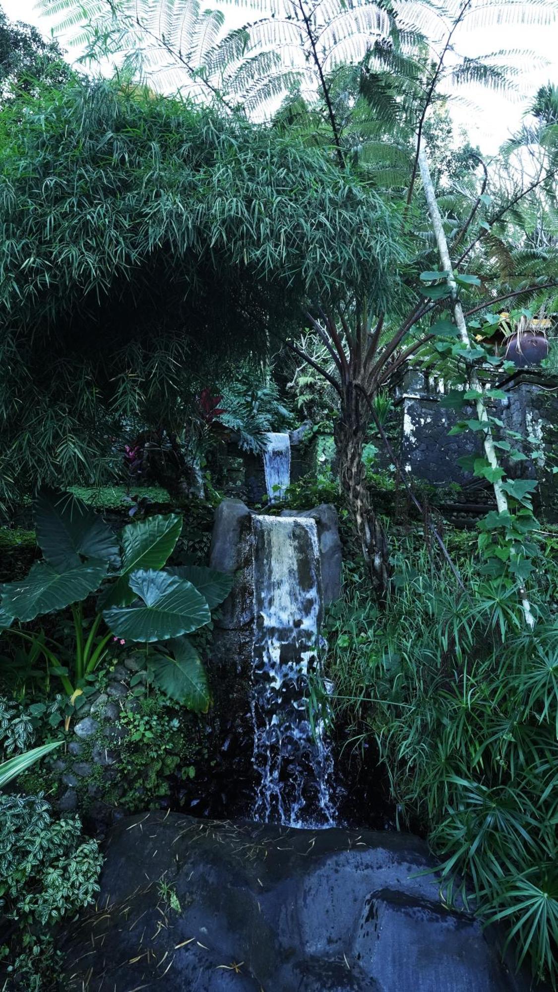 The Sangkih Villa Restaurant & Bar Munduk エクステリア 写真